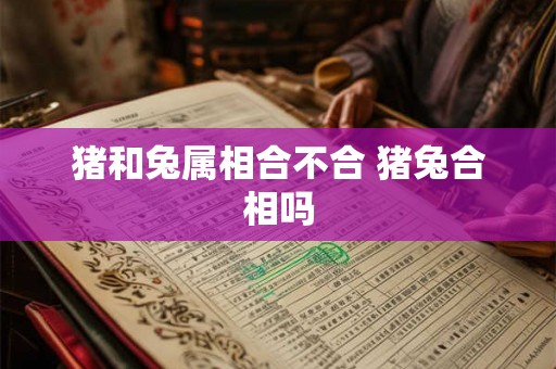 猪和兔属相合不合 猪兔合相吗