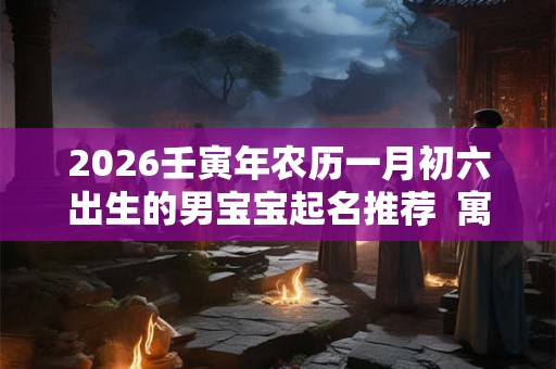 2026壬寅年农历一月初六出生的男宝宝起名推荐  寓意吉祥