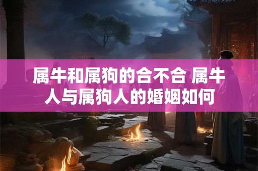 属牛和属狗的合不合 属牛人与属狗人的婚姻如何 属牛和属狗的合不合 属牛人与属狗人的婚姻如何