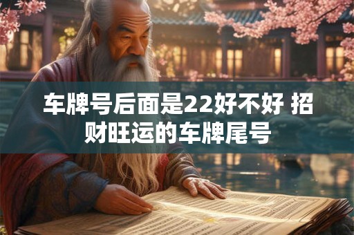 车牌号后面是22好不好 招财旺运的车牌尾号