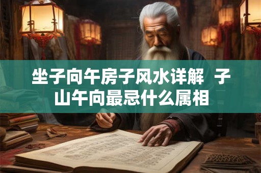 坐子向午房子风水详解  子山午向最忌什么属相