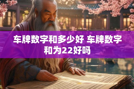 车牌数字和多少好 车牌数字和为22好吗