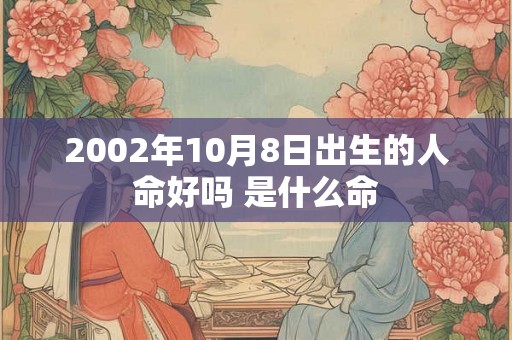 2002年10月8日出生的人命好吗 是什么命