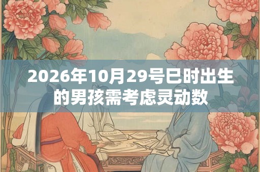 2026年10月29号巳时出生的男孩需考虑灵动数