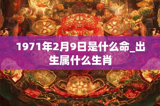 1971年2月9日是什么命_出生属什么生肖