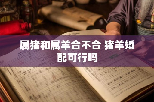 属猪和属羊合不合 猪羊婚配可行吗