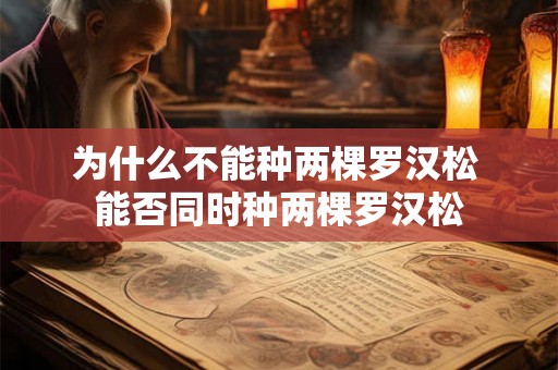 为什么不能种两棵罗汉松 能否同时种两棵罗汉松