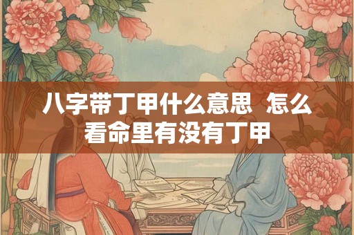 八字带丁甲什么意思  怎么看命里有没有丁甲