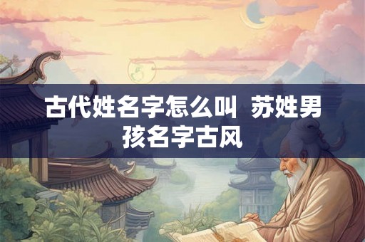 古代姓名字怎么叫  苏姓男孩名字古风