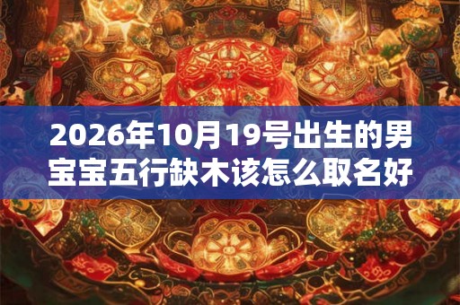 2026年10月19号出生的男宝宝五行缺木该怎么取名好