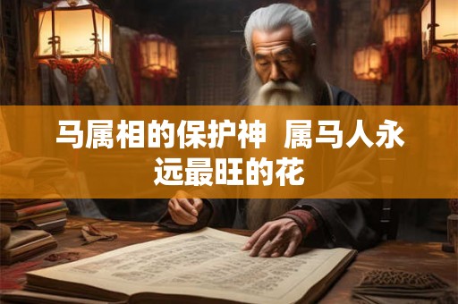 马属相的保护神  属马人永远最旺的花