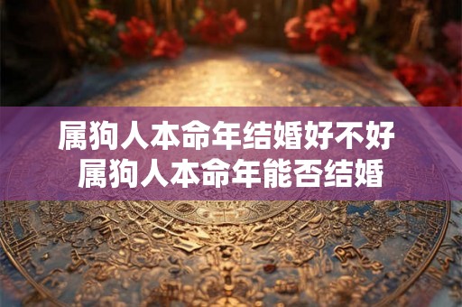 属狗人本命年结婚好不好 属狗人本命年能否结婚