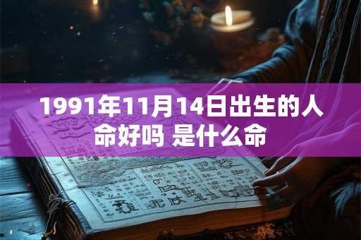 1991年11月14日出生的人命好吗 是什么命