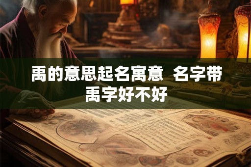 禹的意思起名寓意  名字带禹字好不好