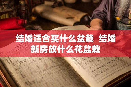 结婚适合买什么盆栽  结婚新房放什么花盆栽