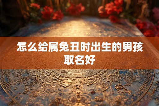 怎么给属兔丑时出生的男孩取名好 怎么给属兔丑时出生的男孩取名好