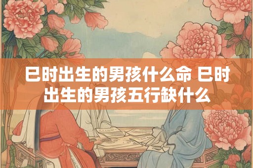 巳时出生的男孩什么命 巳时出生的男孩五行缺什么