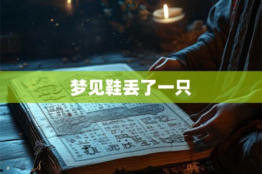 梦见鞋丢了一只 梦见鞋丢了一只