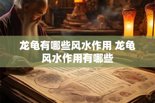 龙龟有哪些风水作用 龙龟风水作用有哪些