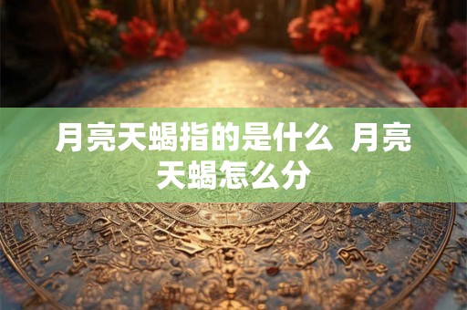 月亮天蝎指的是什么  月亮天蝎怎么分