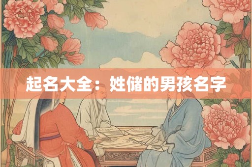 起名大全：姓储的男孩名字