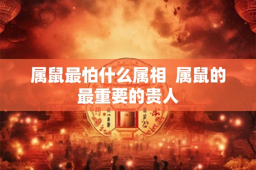 属鼠最怕什么属相  属鼠的最重要的贵人
