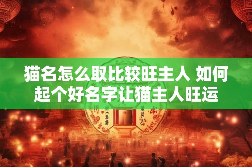 猫名怎么取比较旺主人 如何起个好名字让猫主人旺运
