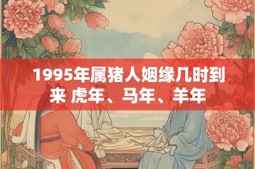 1995年属猪人姻缘几时到来 虎年、马年、羊年