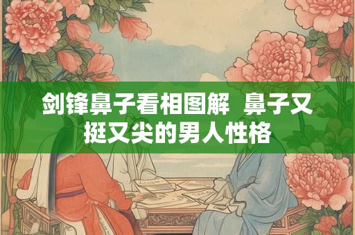 剑锋鼻子看相图解  鼻子又挺又尖的男人性格