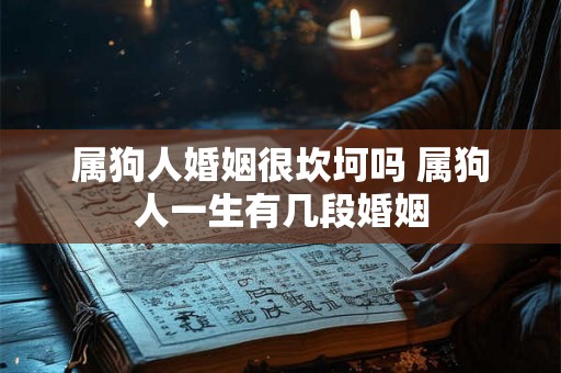 属狗人婚姻很坎坷吗 属狗人一生有几段婚姻