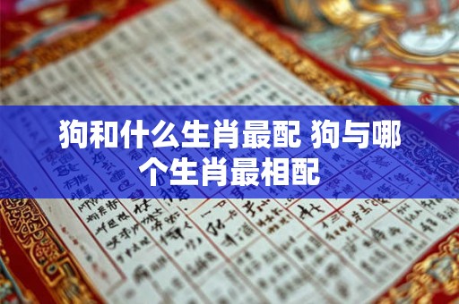 狗和什么生肖最配 狗与哪个生肖最相配