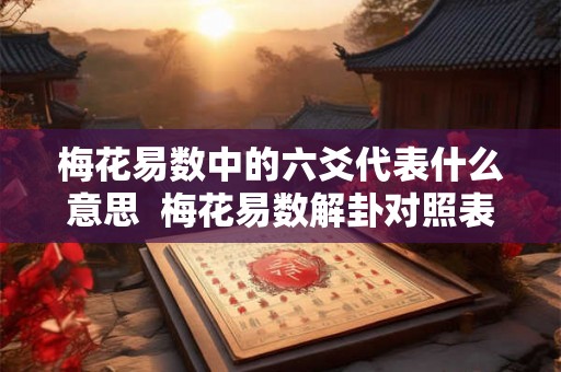 梅花易数中的六爻代表什么意思  梅花易数解卦对照表