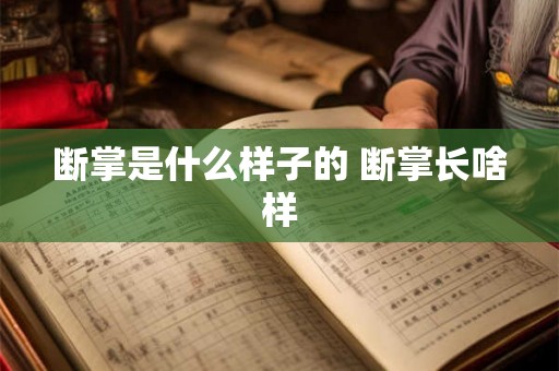 断掌是什么样子的 断掌长啥样
