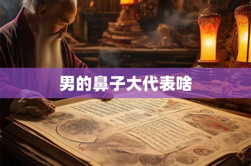 男的鼻子大代表啥