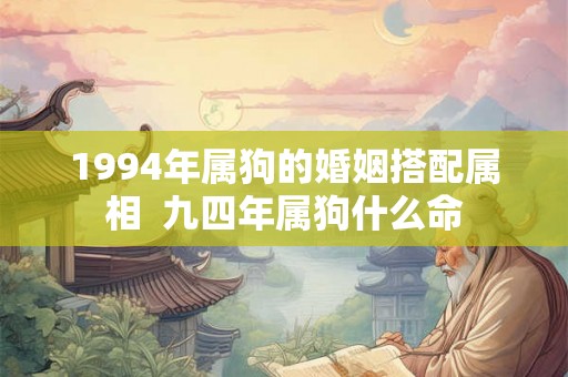 1994年属狗的婚姻搭配属相  九四年属狗什么命