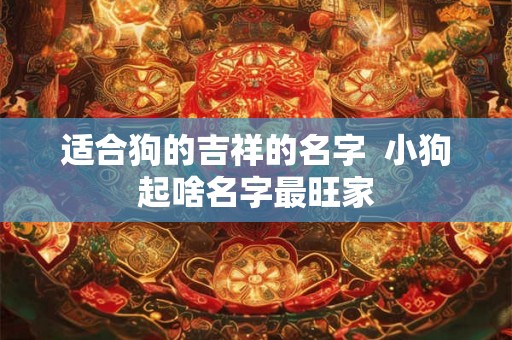 适合狗的吉祥的名字  小狗起啥名字最旺家