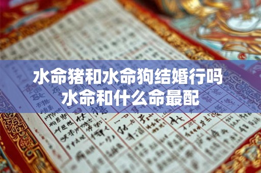 水命猪和水命狗结婚行吗 水命和什么命最配