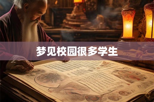 梦见校园很多学生
