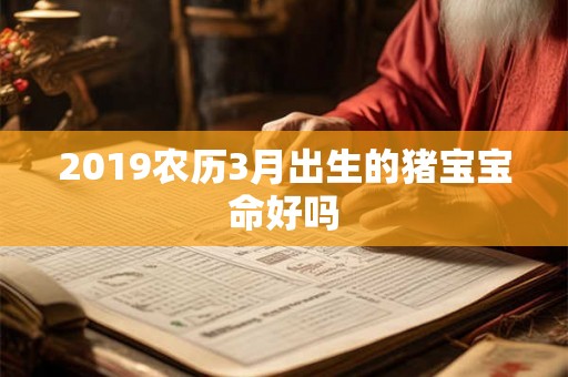 2019农历3月出生的猪宝宝命好吗