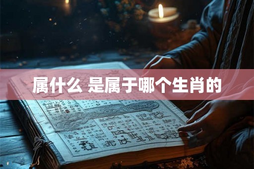 属什么 是属于哪个生肖的 属什么 是属于哪个生肖的