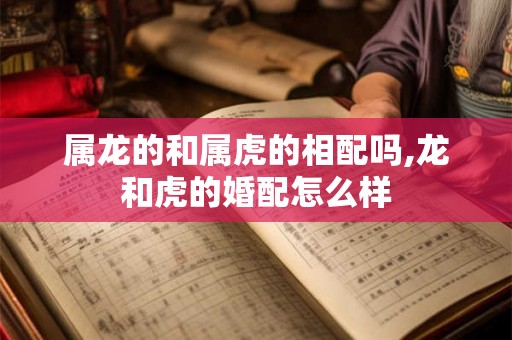 属龙的和属虎的相配吗,龙和虎的婚配怎么样
