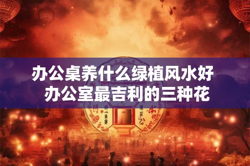 办公桌养什么绿植风水好 办公室最吉利的三种花 办公桌养什么绿植风水好 办公室最吉利的三种花