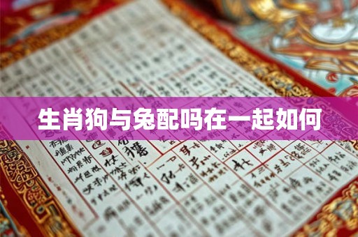 生肖狗与兔配吗在一起如何