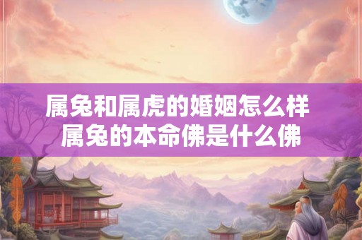 属兔和属虎的婚姻怎么样 属兔的本命佛是什么佛