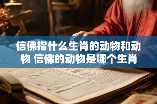 信佛指什么生肖的动物和动物 信佛的动物是哪个生肖