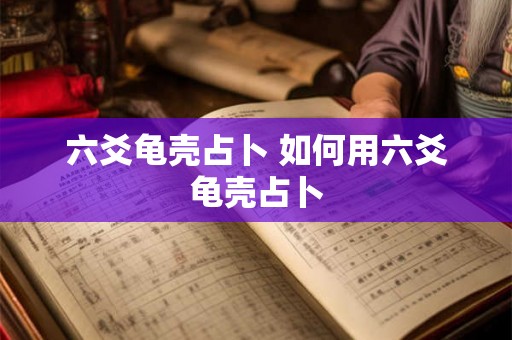 六爻龟壳占卜 如何用六爻龟壳占卜