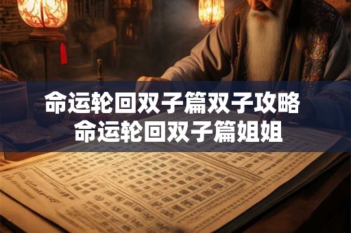 命运轮回双子篇双子攻略  命运轮回双子篇姐姐