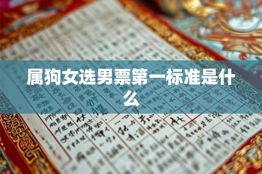属狗女选男票第一标准是什么