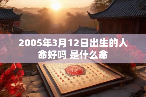 2005年3月12日出生的人命好吗 是什么命