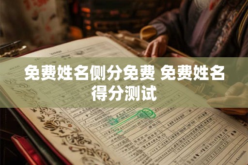 免费姓名侧分免费 免费姓名得分测试